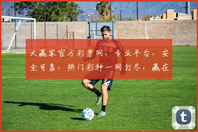 大赢家官方彩票网，专业平台，安全可靠，热门彩种一网打尽，赢在起点，尽享乐趣，三重福利等你来